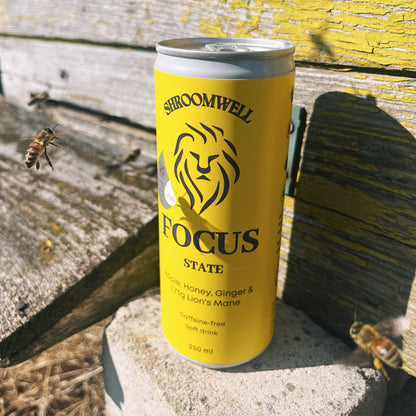 Focus State Soft Drink 250ml